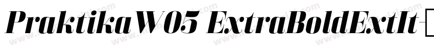 PraktikaW05 ExtraBoldExtIt字体转换